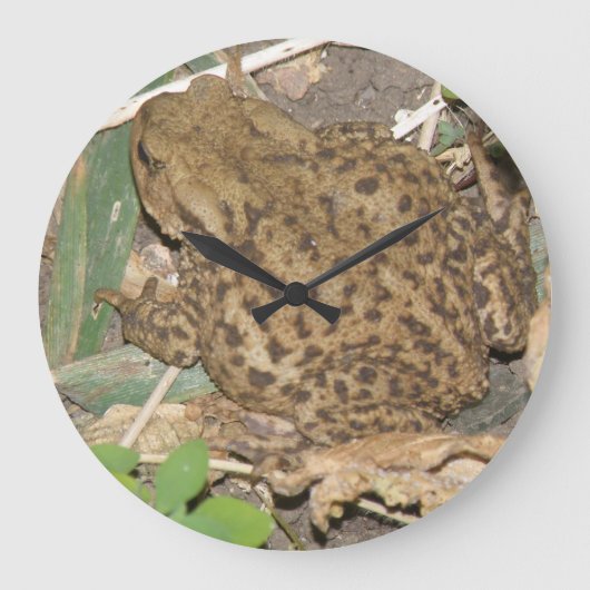 European Common Toad Wall klok (Voorkant)