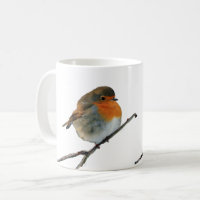 European English Robin bird red borsten op boom