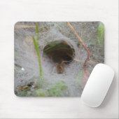 European Funnel Web Spider Mouse Mat Muismat (Met muis)