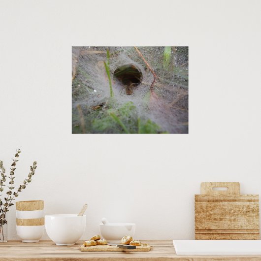 European Funnel Web Spider Poster (Cuisine)
