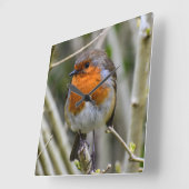 European Robin Acrylic Wall klok (Hoek)