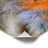 European Robin Foto Afdruk (Hoek)