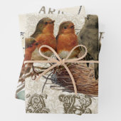 European Robin French Script Nest Egg Postmark Set Inpakpapier Vel (In situ)