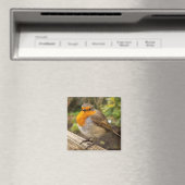 European Robin Fridge Magnet Magneet (Insitu (Vaatwasser))