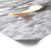 European Robin Poster (Hoek)