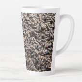 European spruce bark beetle latte mok (Rechts)