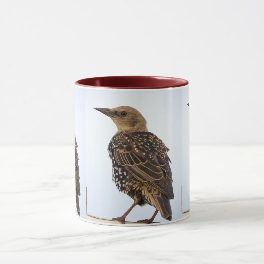 European Starling Bird Mug (Centre)
