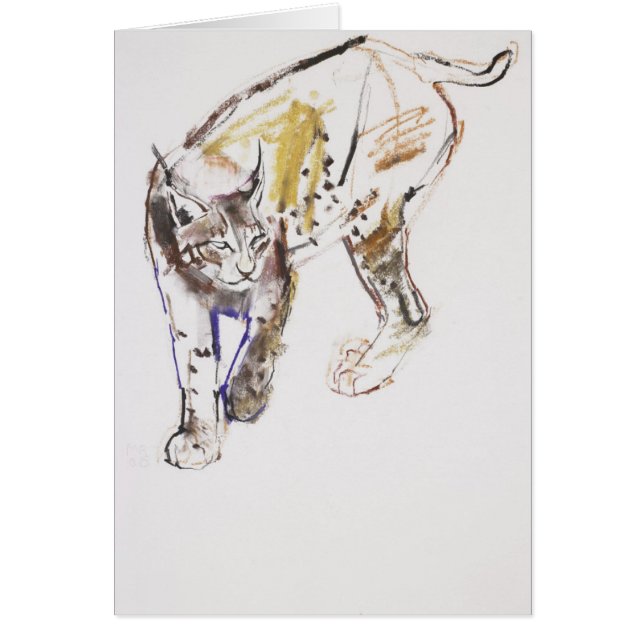 Européen Lynx (Devant)