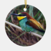 Europees bijeneter keramisch ornament (Voorkant)