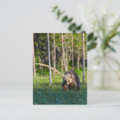 Europees briefkaart van bruin beer (Staand voorkant)