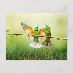 Europese bijeneter-kleurige vogel briefkaart