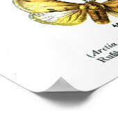 Europese botervliegen (Bord 10) Poster (Hoek)