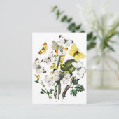  Europese botervliegen Briefkaart (Staand voorkant)