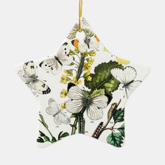  Europese botervliegen Keramisch Ornament (Voorkant)