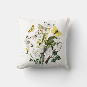 Europese botervliegen Kussen