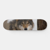 Europese grijze wolf skateboard (Horizontaal)