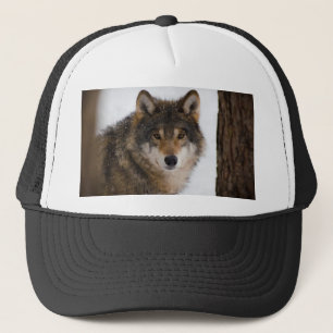 Europese grijze wolf trucker pet
