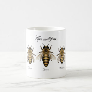 Europese honingbijen (Apis mellifera) Koffiemok