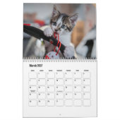 europese korthaarkalender kalender (Mar 2027)