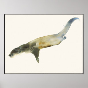Europese otter poster