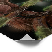 Europese pine Marten Poster (Hoek)