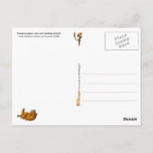 Europese rookpijpen, -hoesjes en -gereedschap briefkaart (Achterkant)