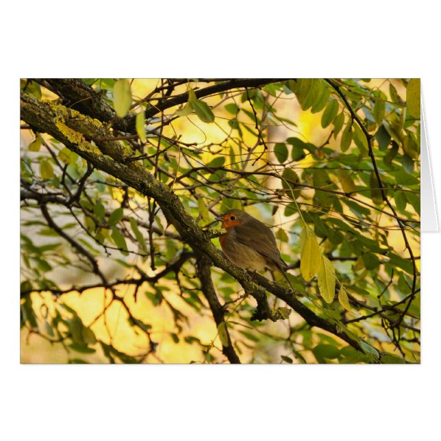 Europese rover (Voorkant Horizontaal)