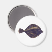 Europese schol magneet (Voorkant / Achterkant)