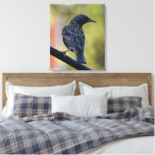Europese Spreeuw  Canvas Afdruk (Insitu (Slaapkamer))