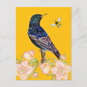 Europese Spreeuw Watervogel Schildering Briefkaart