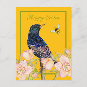 Europese Spreeuw Watervogel Schildering Briefkaart