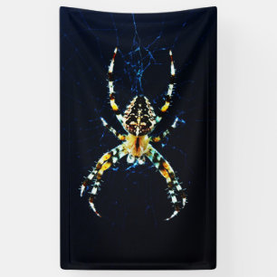 Europese Tuinspin-brander Spandoek