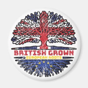 Europese Unie Europa Verenigd Koninkrijk Magneet