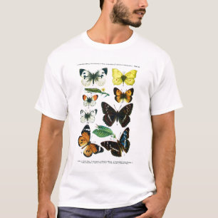 Europese Vlinders Bord II T-shirt