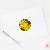 Euryops Daisy [Round Seal] Ronde Sticker (Envelop)