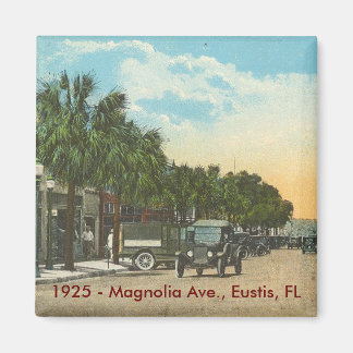 EUSTIS, FL - 1925 - Magnolia Ave. Magneet