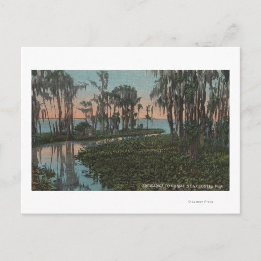 Eustis, Florida - Uitzicht van het Swampy Canal Briefkaart (Voorkant)