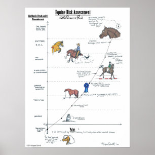 Évaluation du risque équin GRANDE affiche