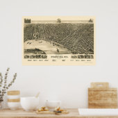 Evansville, IN Panorama - 1888 Poster (Keuken)