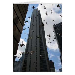 Évasion de plaza de la banque une