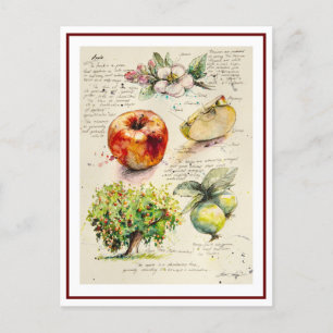 EVE Gedetailleerde illustratie van Apple Briefkaart