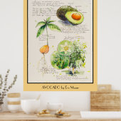 EVE Peint Avocado illustration botanique Poster (Cuisine)