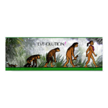 EVE-RESOLUTIE-POSTER