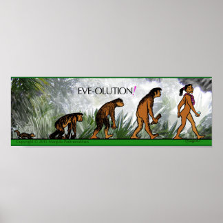 EVE-RESOLUTIE-POSTER POSTER