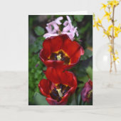 Éveil de printemps, Carte Tulips (Fleur jaune)