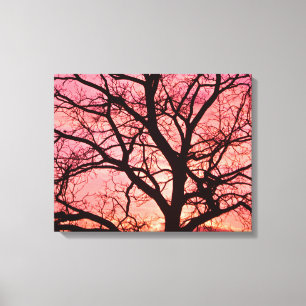 Evening Blush Tree Silhouette Canvas Afdruk
