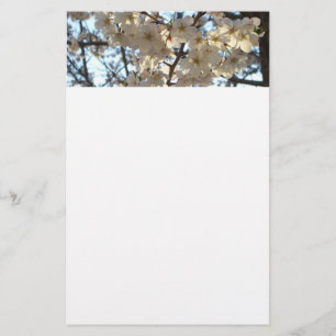 Evening Cherry Blossom I Spring Floral Briefpapier