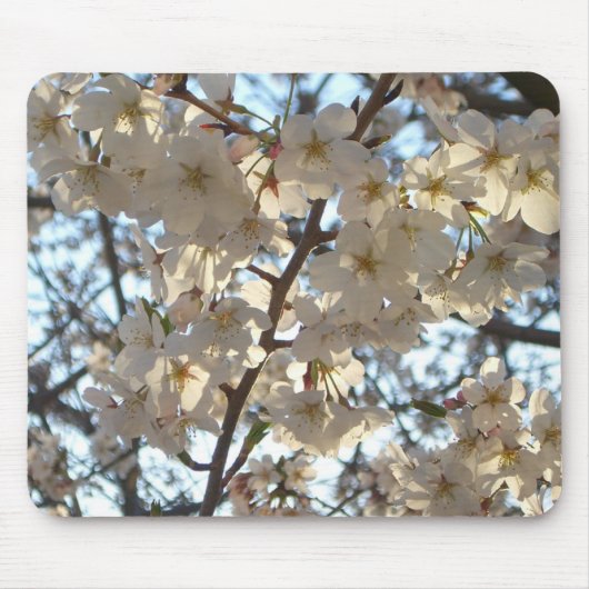 Evening Cherry Blossom I Spring Floral Muismat (Voorkant)