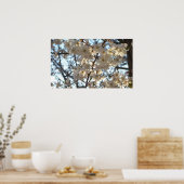 Evening Cherry Blossom I Spring Floral Poster (Keuken)