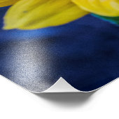 Evening Daisy door Jon Hulsinger Foto Afdruk (Hoek)